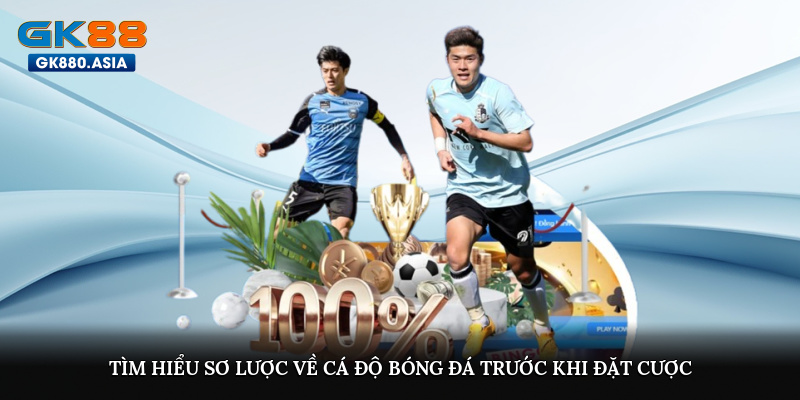Tìm hiểu sơ lược về cá độ bóng đá trước khi đặt cược