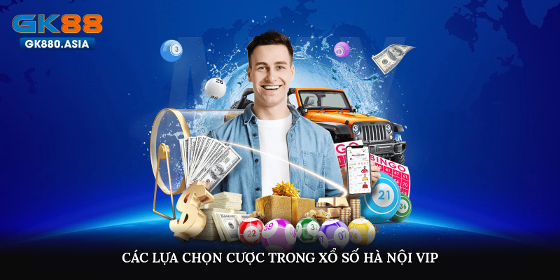 Các lựa chọn cược trong Xổ Số Hà Nội Vip